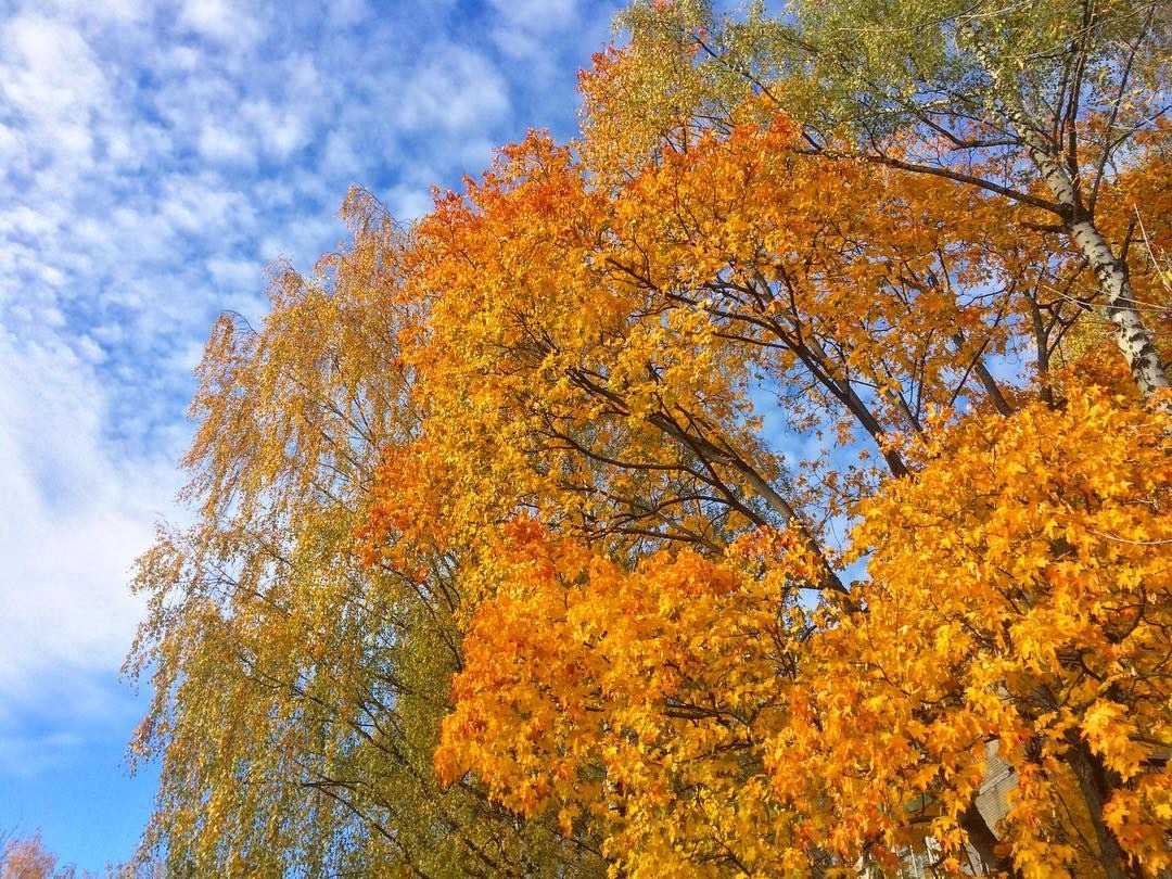 october2018 60 october2018 60