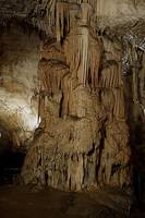Крупный сложный сталагмит. Фото Морошкина В.В.