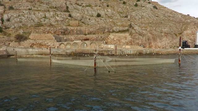 Крым беспристрастно и без прикрас