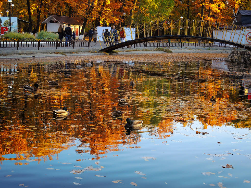 Осень в самаре картинки