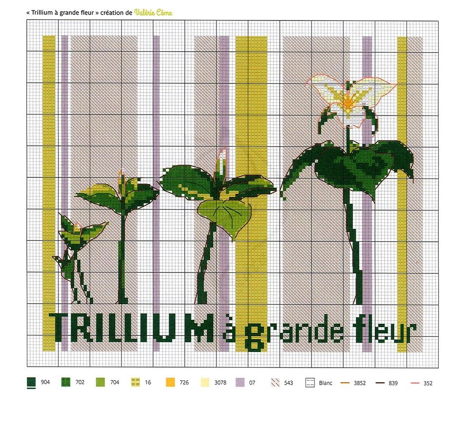 Trillium +Ð grande fleur-Val+Ð¹rie C++me
