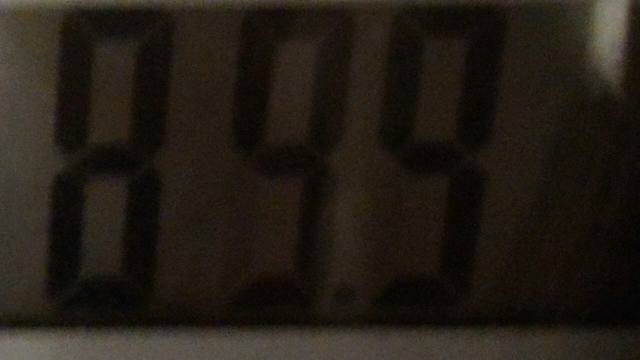 23899380_m.jpg