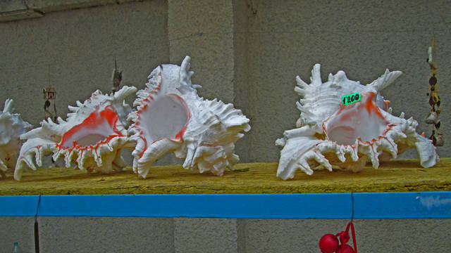 Крым беспристрастно и без прикрас