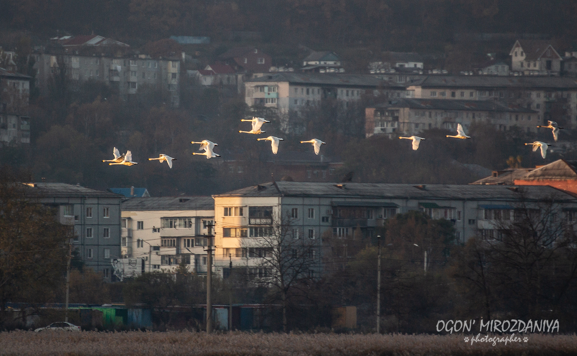 20-21.10.2018 утро вика торик IMG 8965