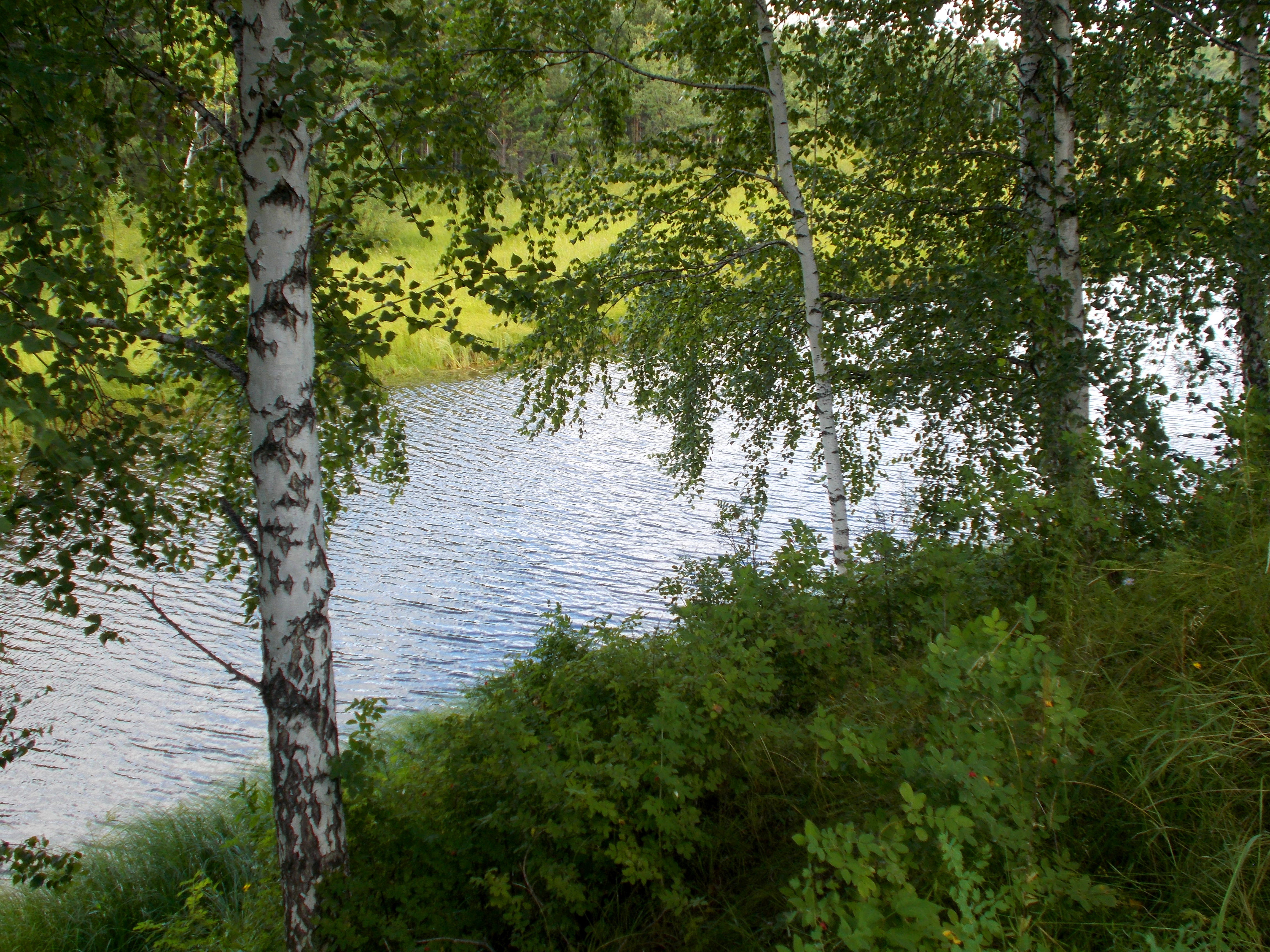 Остров Татышев