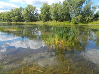 Остров Татышев