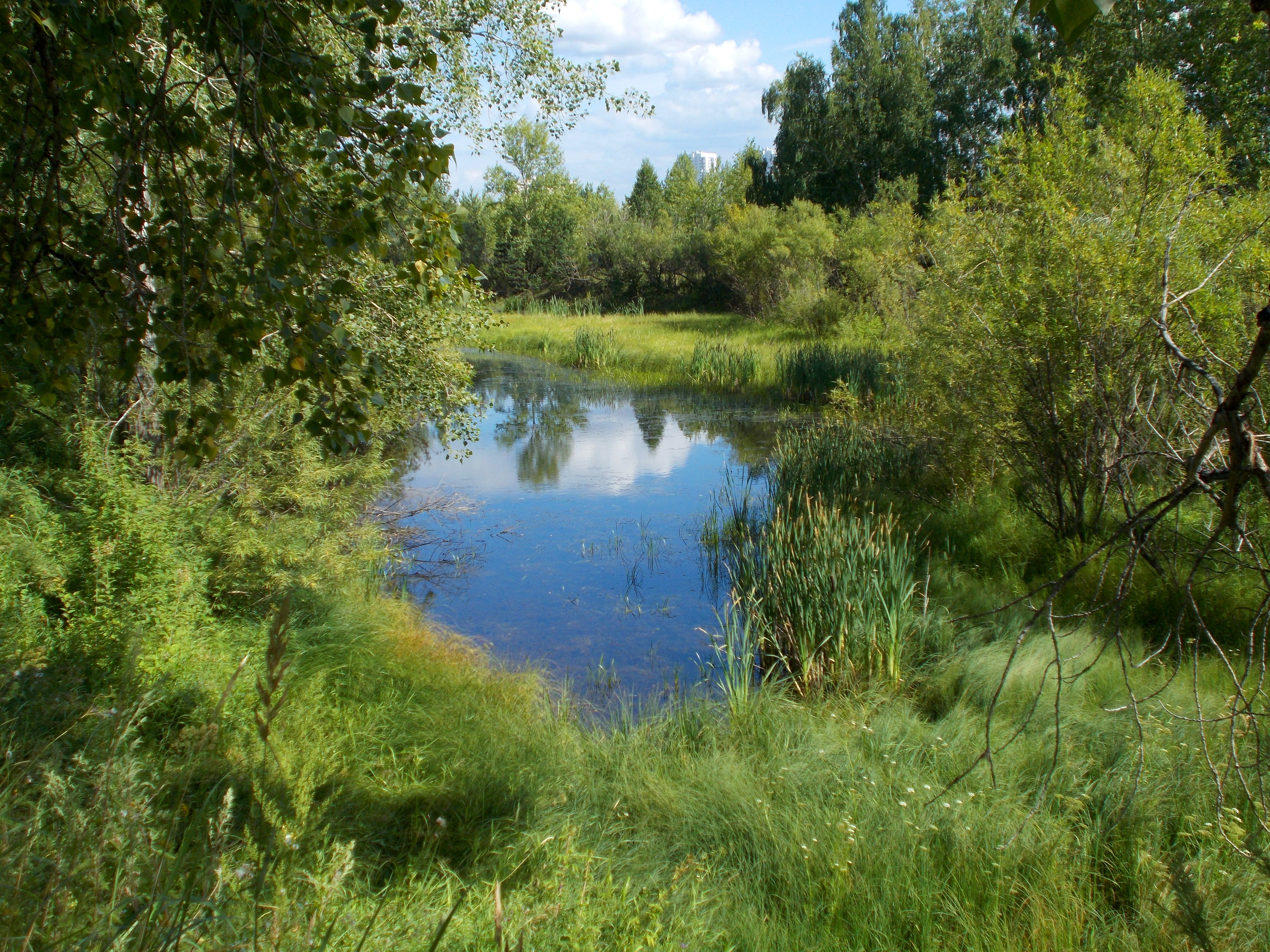 Остров Татышев