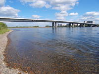 Остров Татышев, Октябрьский мост