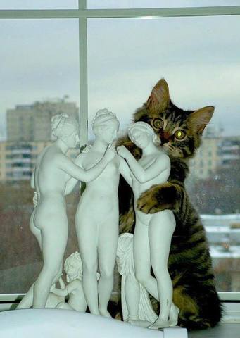 Чайная беседка