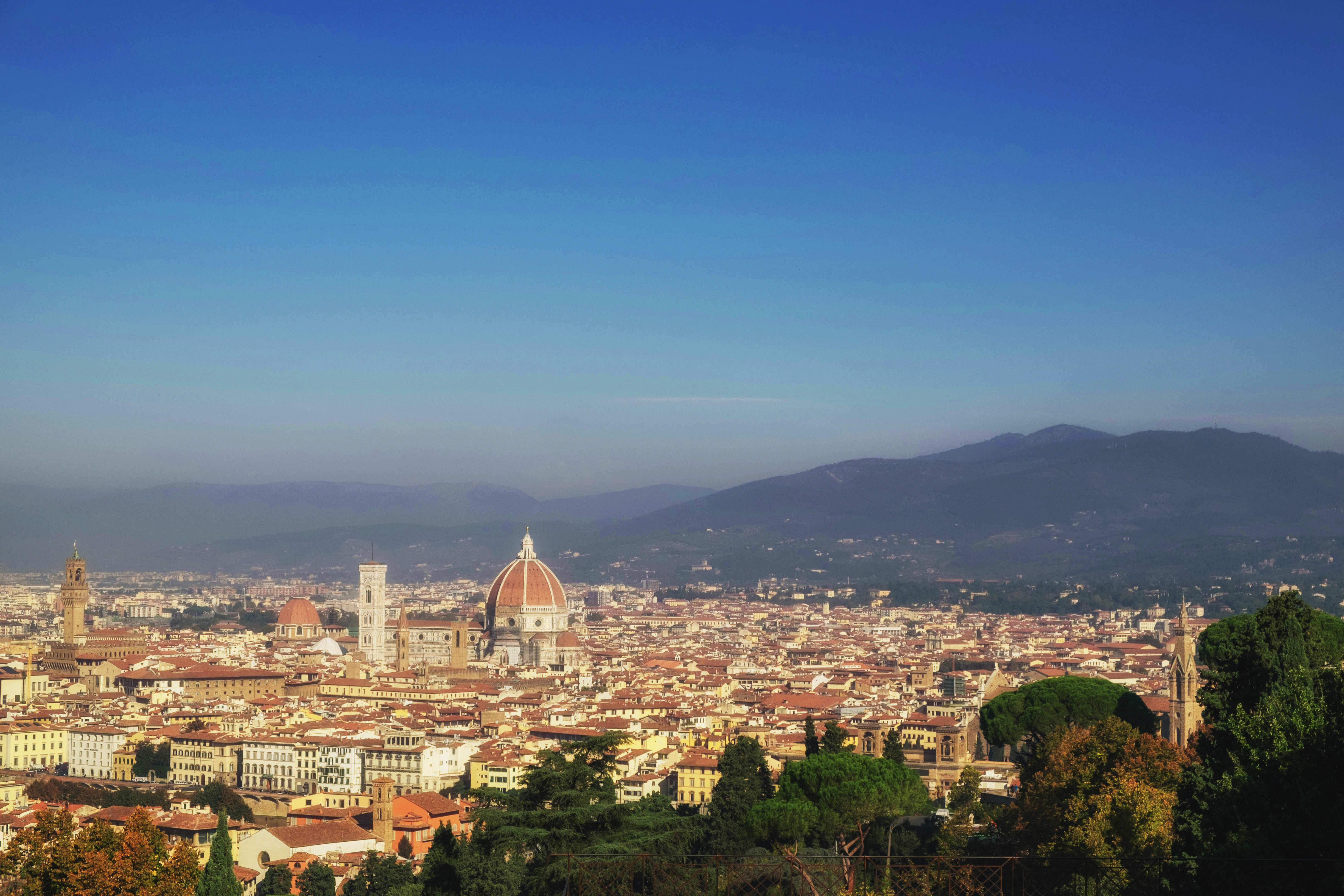 Флоренция-3б