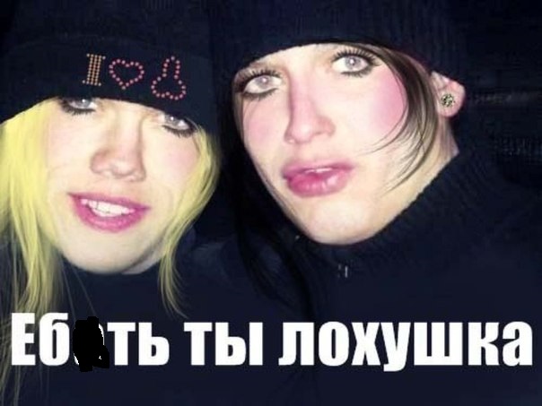 23962324.jpg