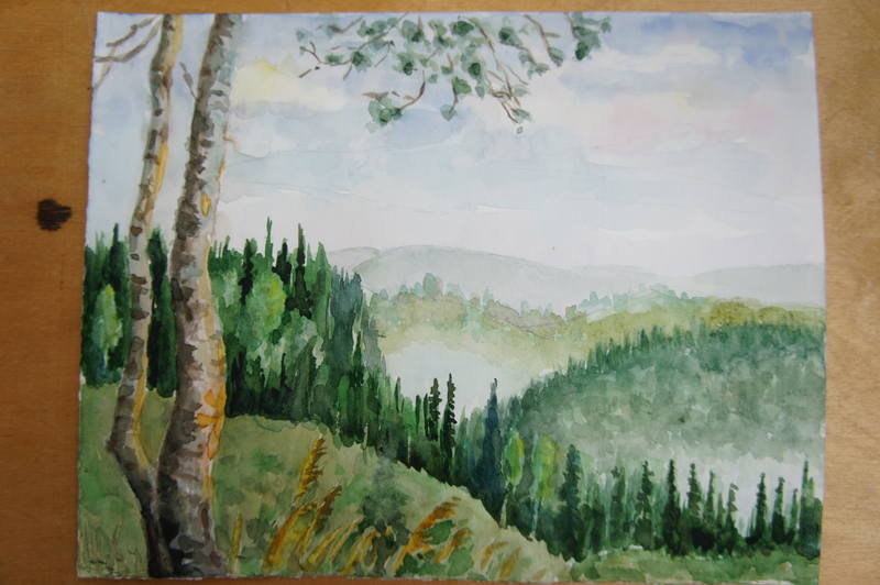 березы 001.JPG