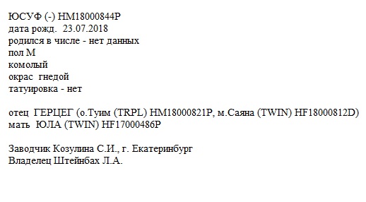 Юсуф анк ЛПХ Штейнбах Л.А.