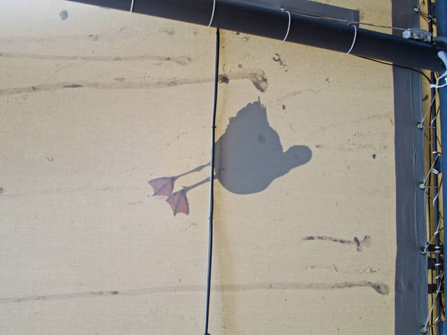 Крым беспристрастно и без прикрас