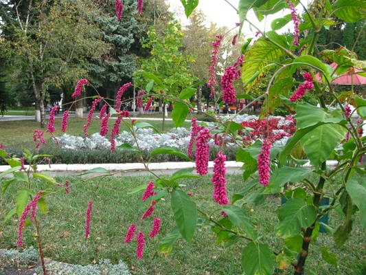 VFL.RU - ваш фотохостинг VFL.RU - ваш фотохостинг