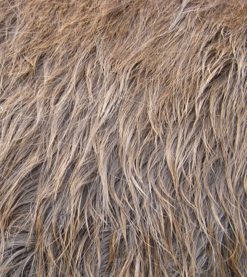 texture-hair3