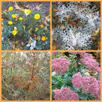 Осенние краски