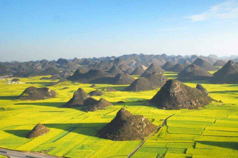 Рапсовые поля в Луопинге, Китай.