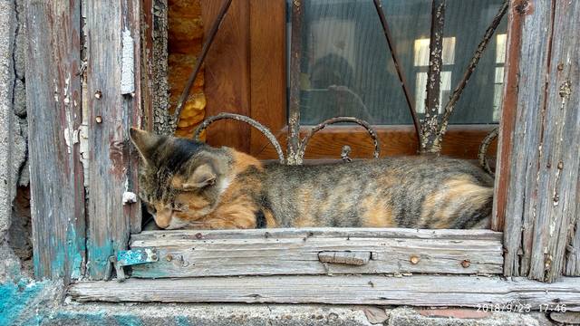Публикувано изображение
