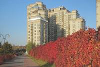 Бульвар возле пл. Индиры Ганди. Фото Морошкина В.В.