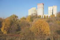 Долина р. Раменки в октябре. Фото Морошкина В.В.