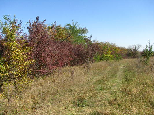 VFL.RU - ваш фотохостинг VFL.RU - ваш фотохостинг