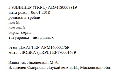 Гулливер анк Марина Родина