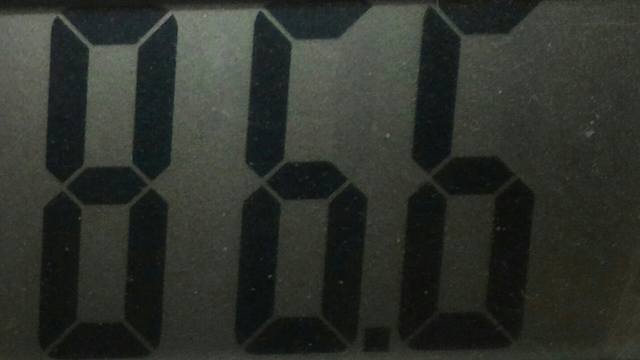 24131902_m.jpg