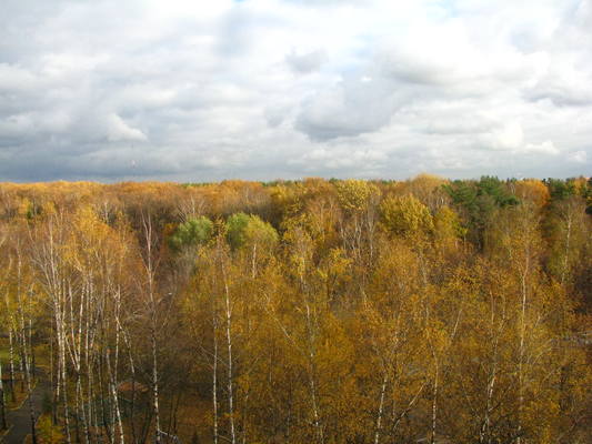 VFL.RU - ваш фотохостинг VFL.RU - ваш фотохостинг