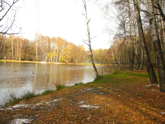 VFL.RU - ваш фотохостинг VFL.RU - ваш фотохостинг