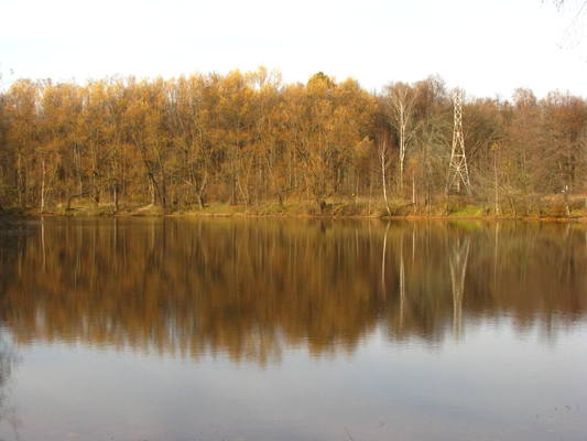 VFL.RU - ваш фотохостинг VFL.RU - ваш фотохостинг