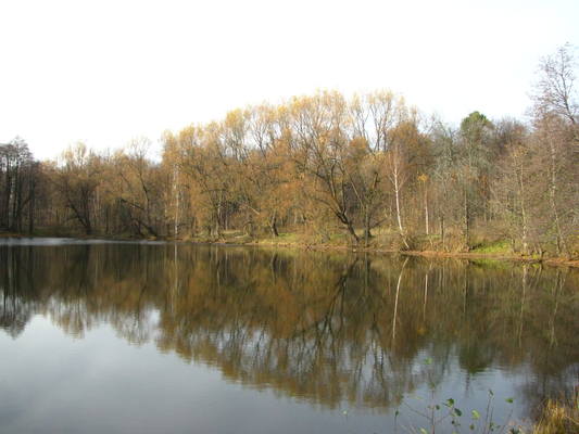 VFL.RU - ваш фотохостинг VFL.RU - ваш фотохостинг
