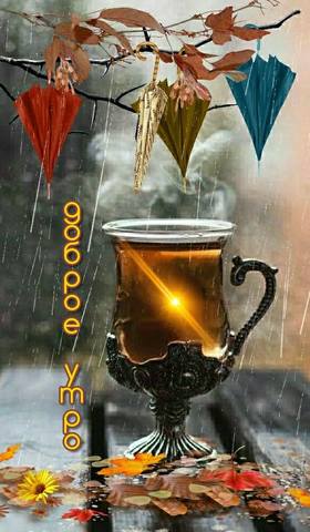 Чайная беседка