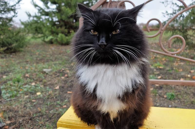 санаторий Старица санаторий Старица