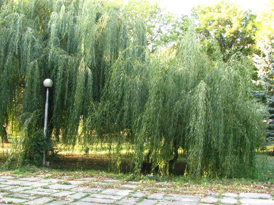 VFL.RU - ваш фотохостинг VFL.RU - ваш фотохостинг
