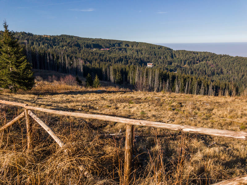 Публикувано изображение
