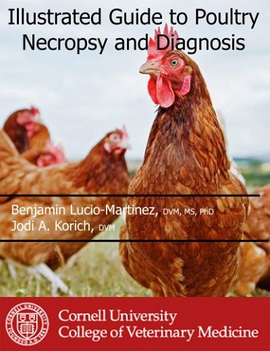 Illustrated-Guide-to-Poultry-Necropsy-and-Diagnosis-385x500