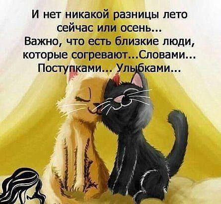 Кафе "У пани Сони"