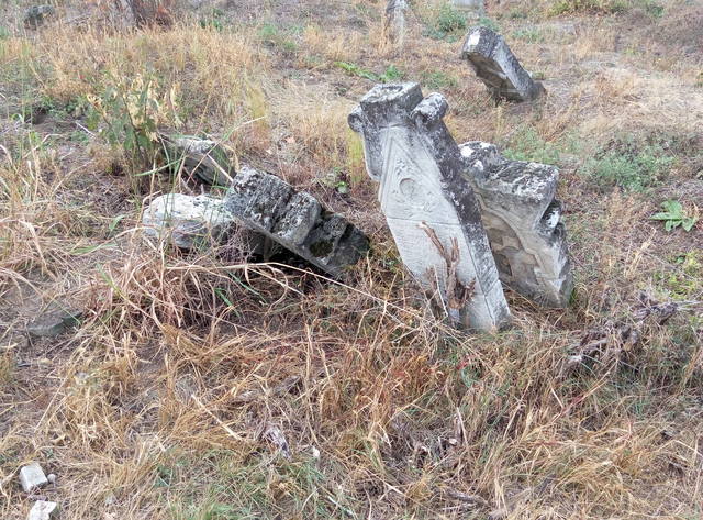 Публикувано изображение