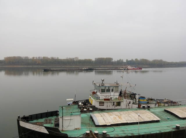 Публикувано изображение