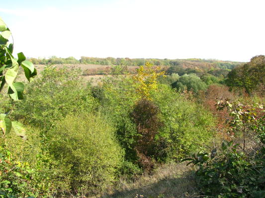 VFL.RU - ваш фотохостинг VFL.RU - ваш фотохостинг