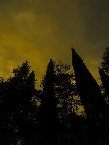 Публикувано изображение