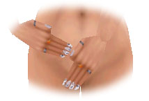 24248091.jpg