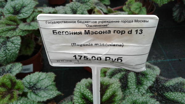 VFL.RU - ваш фотохостинг VFL.RU - ваш фотохостинг