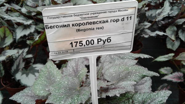VFL.RU - ваш фотохостинг VFL.RU - ваш фотохостинг