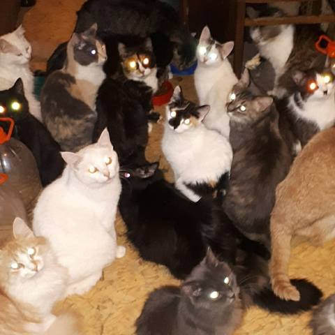 5aVI4pMeQkI 5aVI4pMeQkI