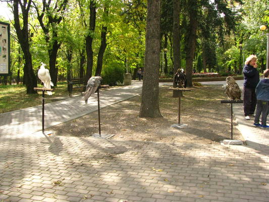 VFL.RU - ваш фотохостинг VFL.RU - ваш фотохостинг