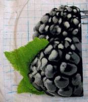 Ежевика. Половина.