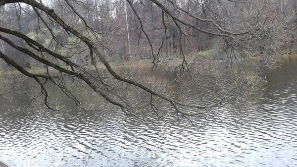 VFL.RU - ваш фотохостинг VFL.RU - ваш фотохостинг