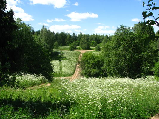 VFL.RU - ваш фотохостинг VFL.RU - ваш фотохостинг